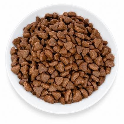 Dog Dry Food Formula DF-01