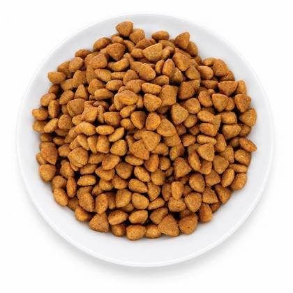 Dog Dry Food Formula DF-04