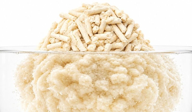 Tofu litter dissolving in water