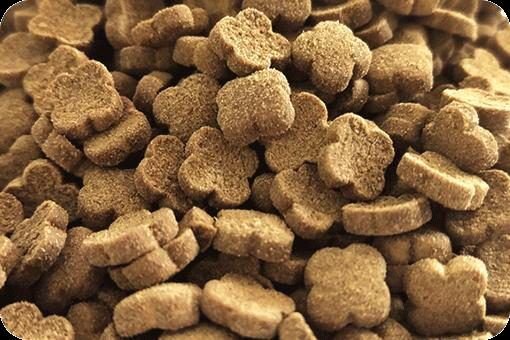 Ferret Food