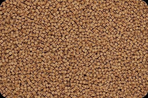 Baked Parrot Food