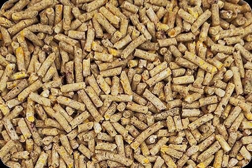 Parrot Pellet Food