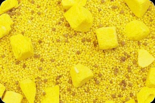 Egg Millet for Weaning Parrots