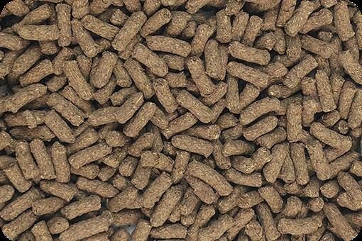Extruded Rabbit Food & Botanical Mix