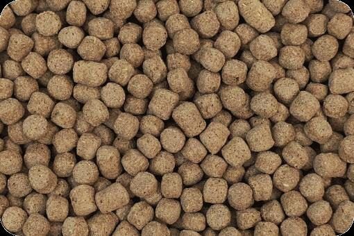 Extruded Fancy Rat Food