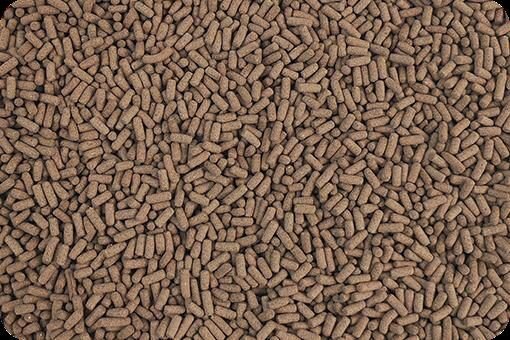 Aquatic & Semi-Aquatic Turtle Food